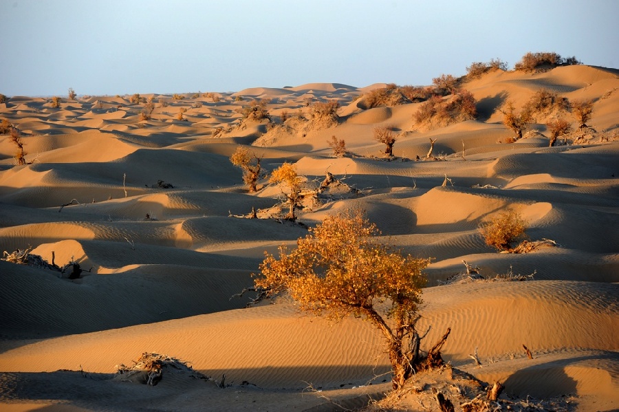 《大漠余辉》。于田达里雅布依乡。