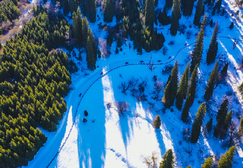 那拉提滑雪
