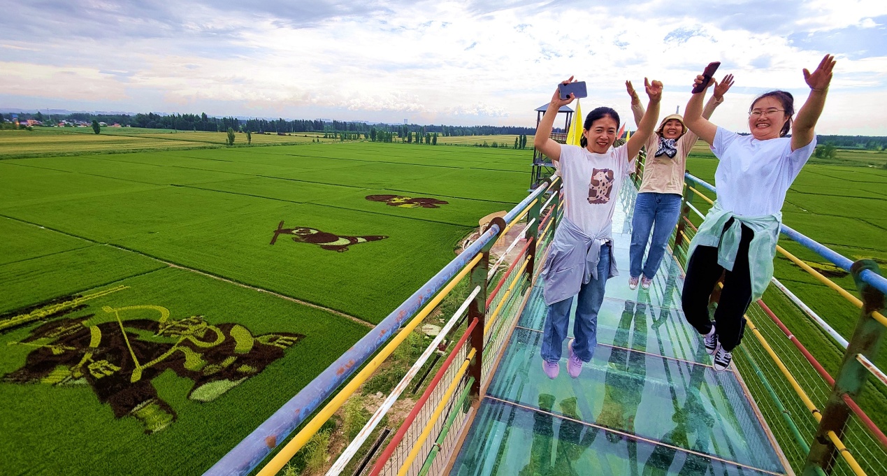 新疆察布查尔：稻田画绘出旅游画卷