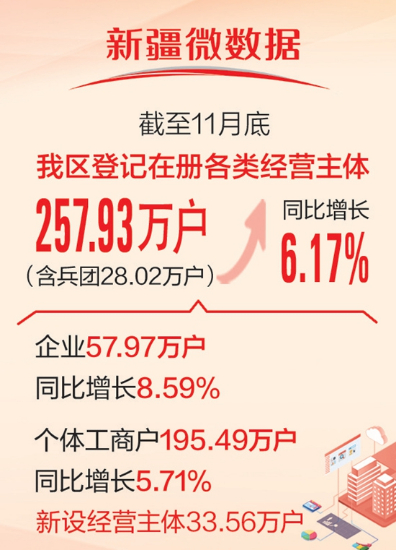 前11月新疆新设经营主体超33万