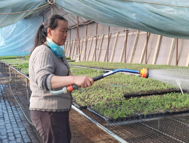 兵团六师芳草湖农场：“冬闲”人不