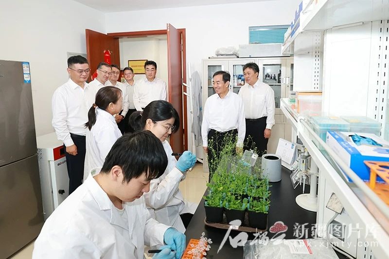 8月11日，自治区党委书记、兵团党委第一书记、第一政委陈小江在位于昌吉市的中国农科院西部农业研究中心，了解科技研发促进农业增效、农民增收情况。