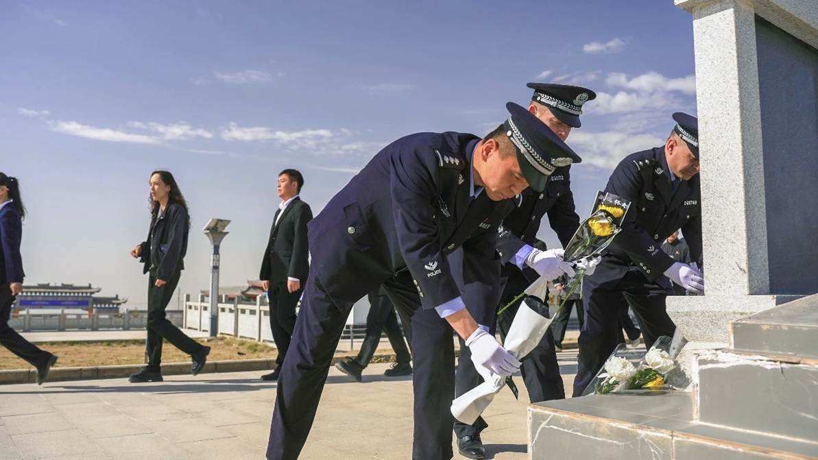 微信图片_20260403192513_11