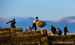 牧归，在秋冬牧场间