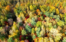 【VR全景航拍】長白山下的秋天