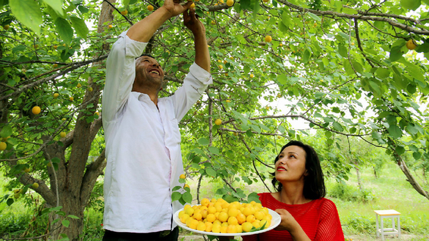 打造特色产业 建设美丽乡村