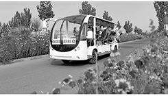 柯柯牙：沙漠边缘书写绿色传奇