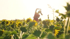 乌尔禾“以花为媒”打造3700亩向阳花景区