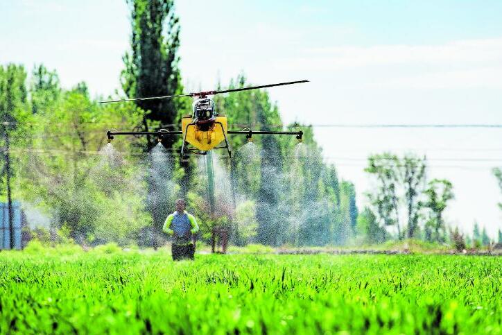 无人机“飞手”为智慧农业插上翅膀