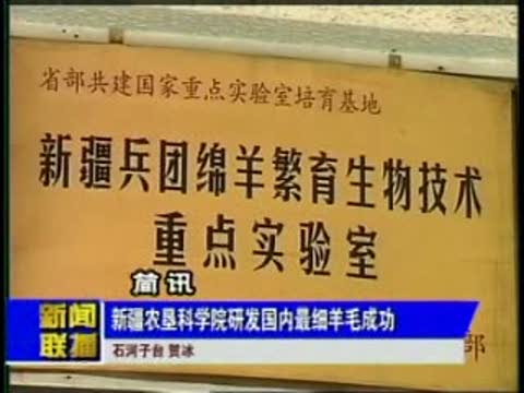 新疆农垦科学院最细羊毛研发成功