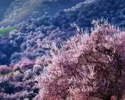 我在新疆等你 | 跟着心灵去旅行