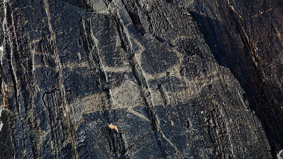 新疆是个好地方|新疆哈巴河：&ldquo;多尕特岩画&rdquo;镌刻古老印记