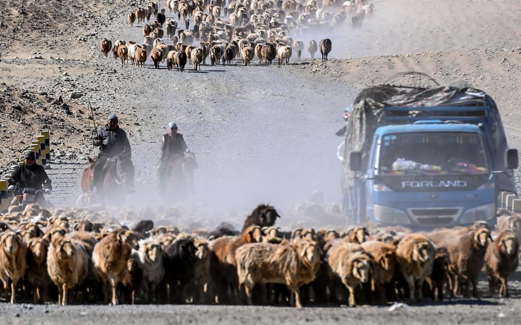 新疆福海縣牧民迎來春季轉場