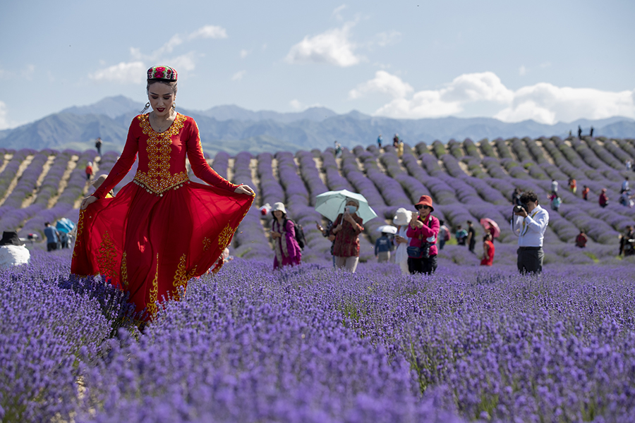 新疆是個好地方|新疆霍城第十屆薰衣草文化國際旅遊節開幕