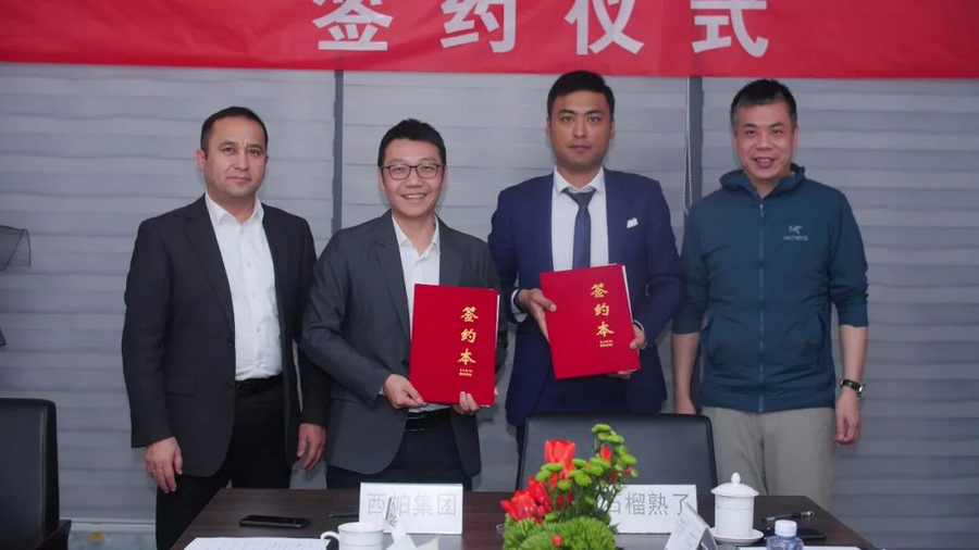 西帕集团战略投资石榴熟了，共同打造新疆名片