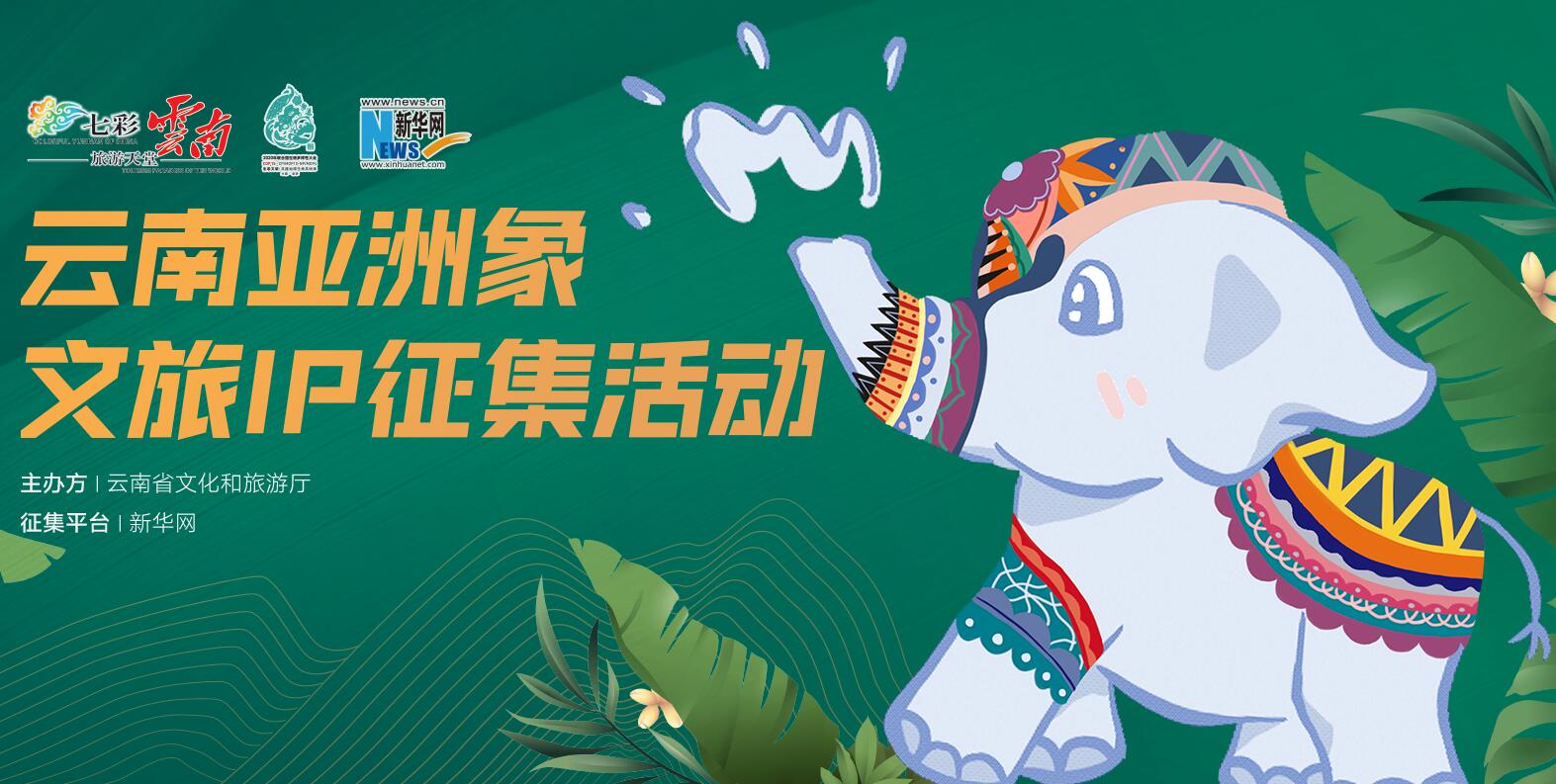 雲南亞洲象文旅IP徵集活動