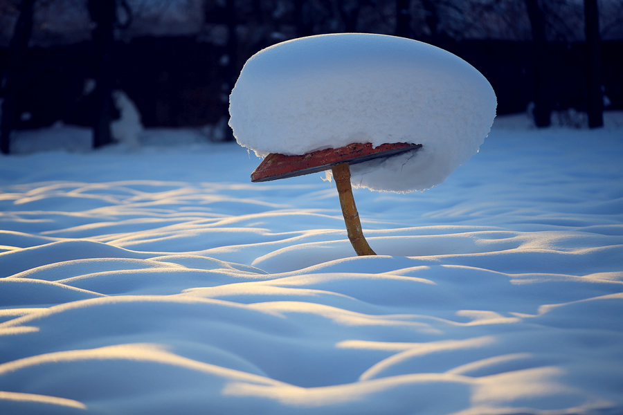 冬日奇觀·額河第一村的“蘑”幻世界