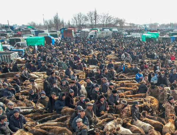新疆：“牛羊市場”交易火爆