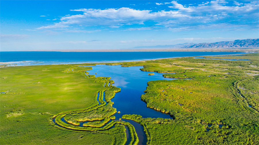 新疆博湖：筑牢生态屏障 做好“湖”文章