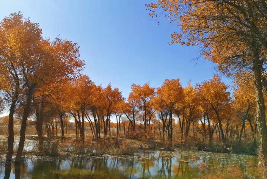 第一纪检监察室1 朱红霞摄