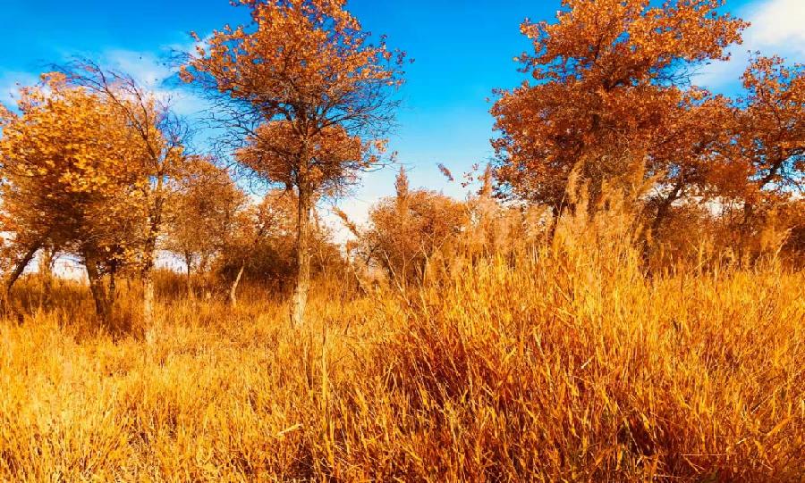 阿克恰2成文达摄