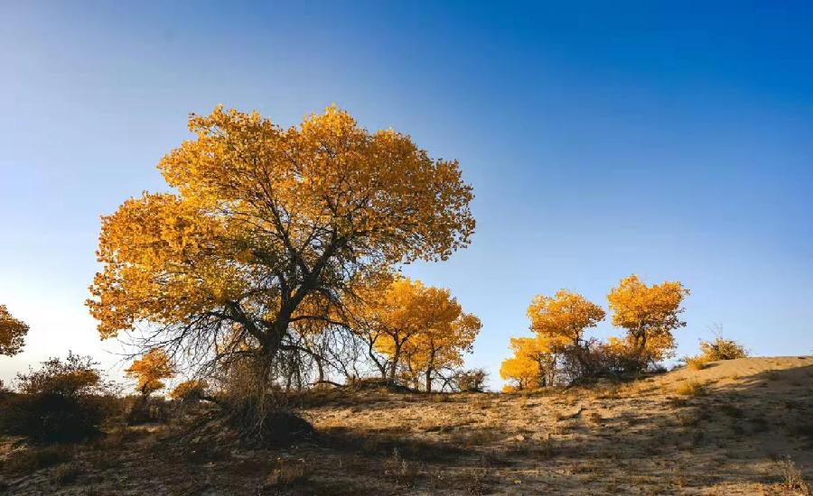 第三纪检监察组2 左静静摄
