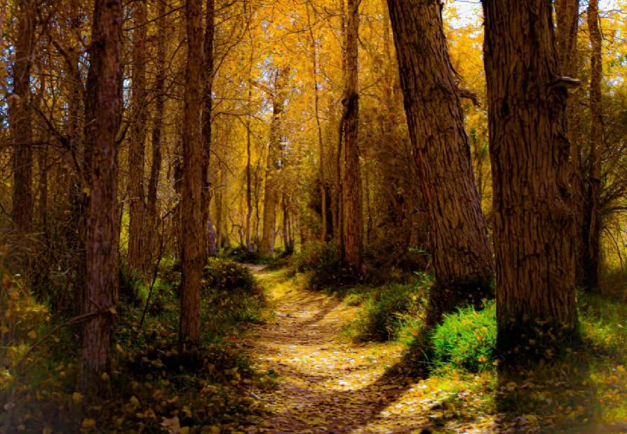 组宣部1 亢学祺摄