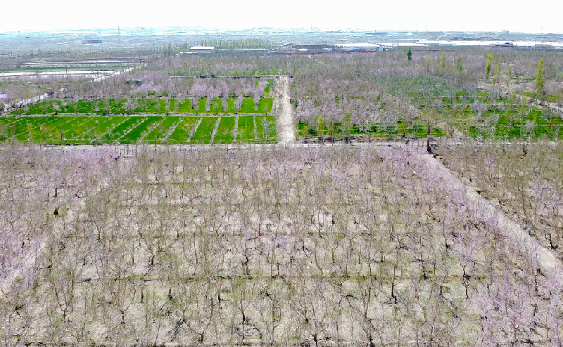 DJI_0519.MP4.00_00_09_08.Still001