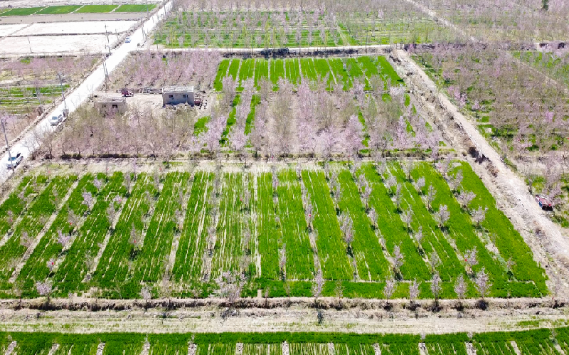 DJI_0534.MP4.00_00_09_27.Still001