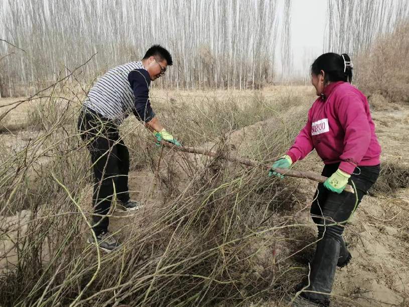扶起花苗 播下希望