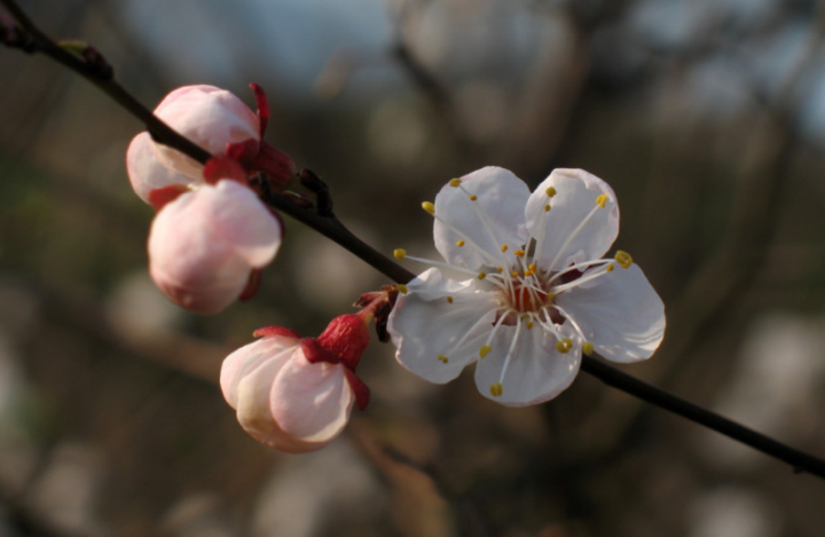 微信截图_20220409123500