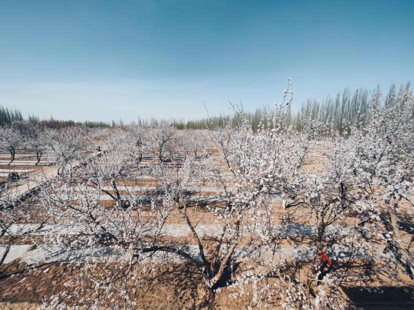 微信图片_20220409114738