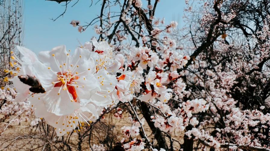 ee6e45433b666b4d624faea41114aff