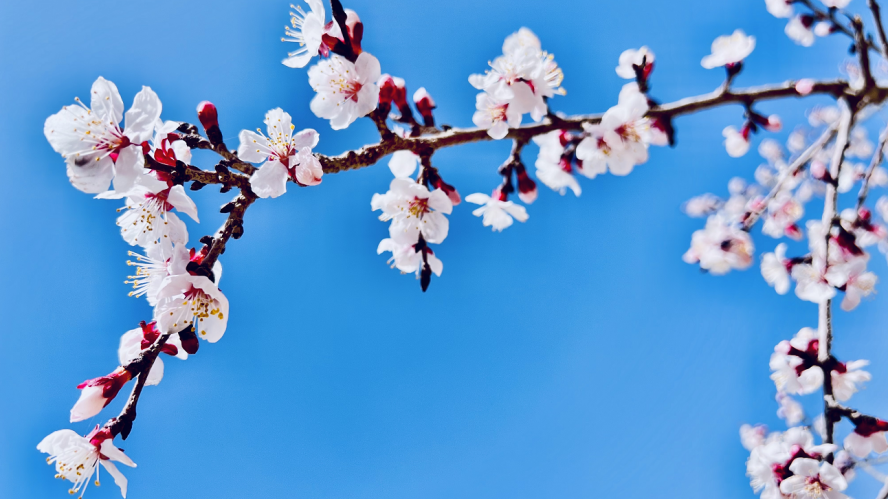 微信截图_20220409115648