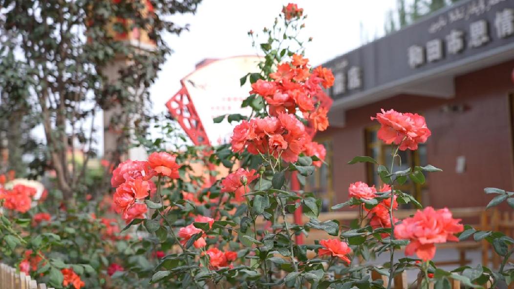 C5498.00_10_36_10.Still032