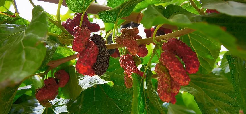 QQ图片20220521204610