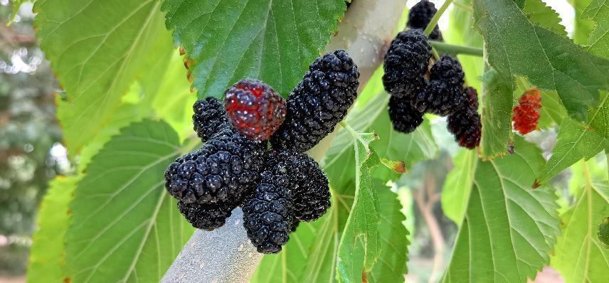 QQ图片20220521195856