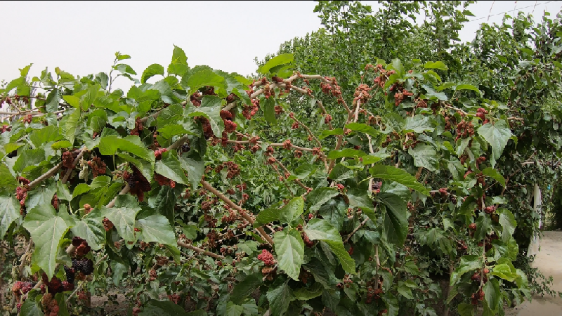 QQ图片20220521203053