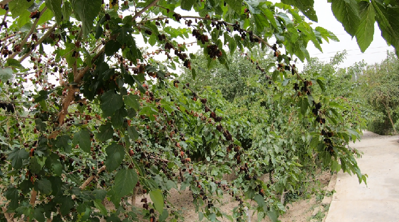 QQ图片20220521203238