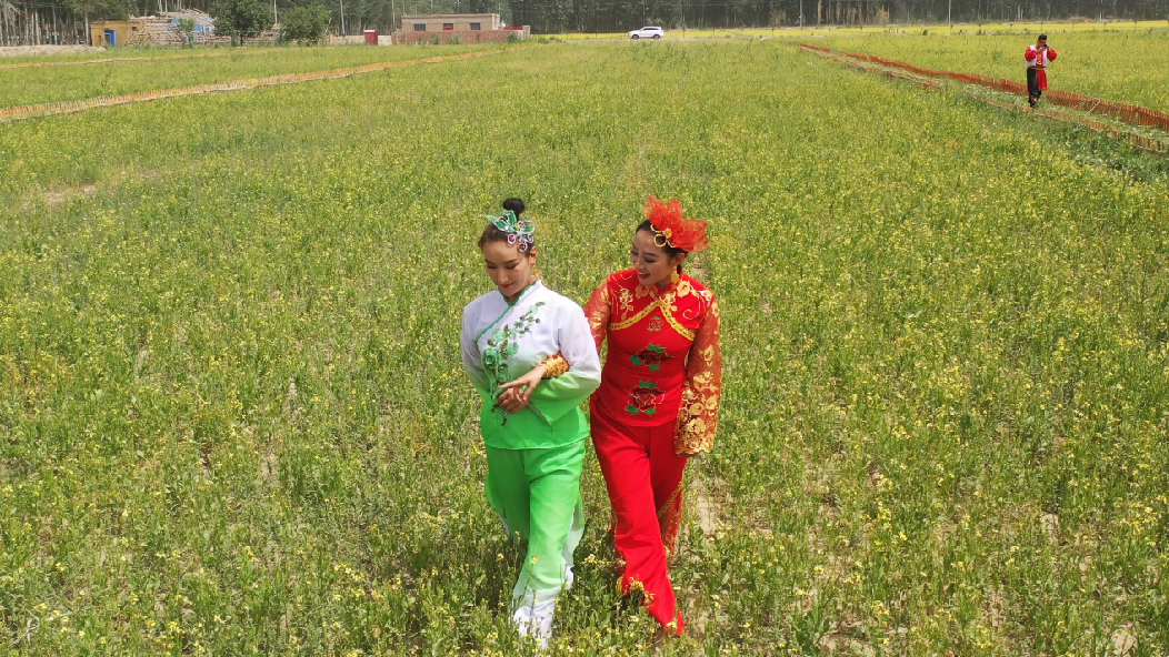 Clip0136.00_00_56_07.Still003