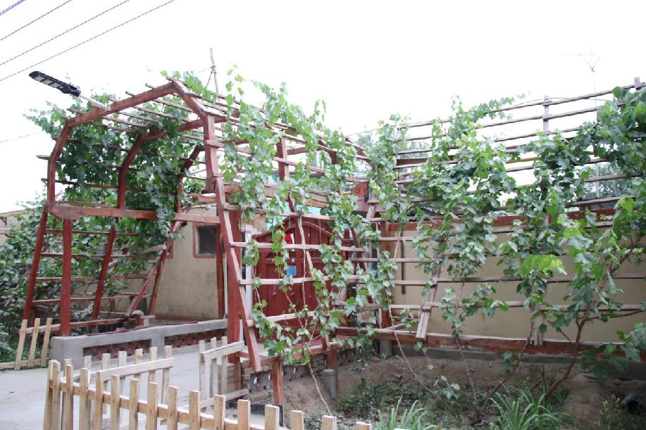 48ab93ff5b4d7e3a16a1bf2baf778e8