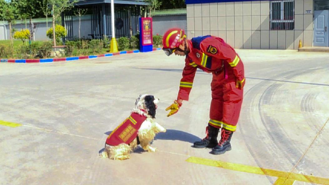 768_3960.00_10_28_10.Still002