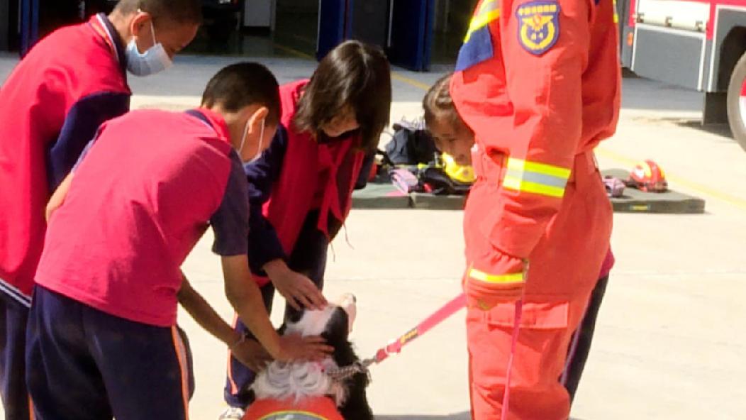 768_3960.00_10_39_19.Still003