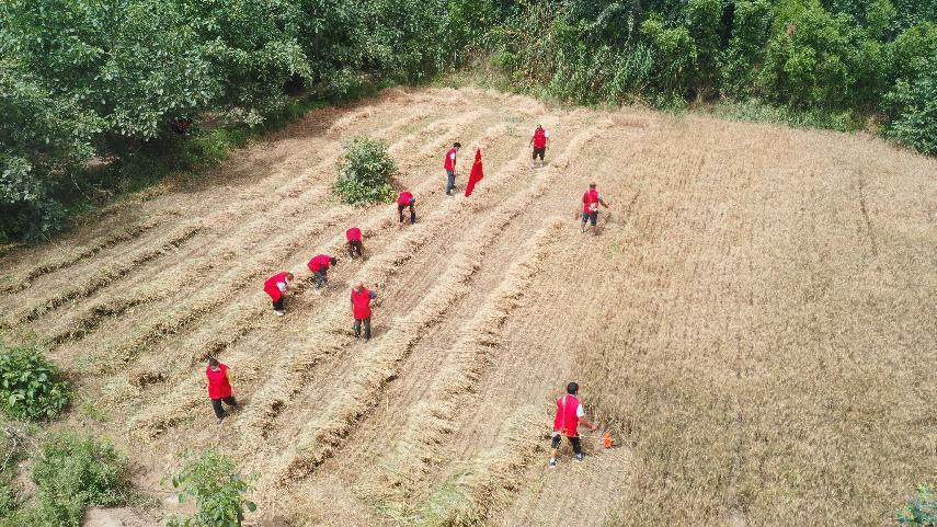 微信图片_20220613201006