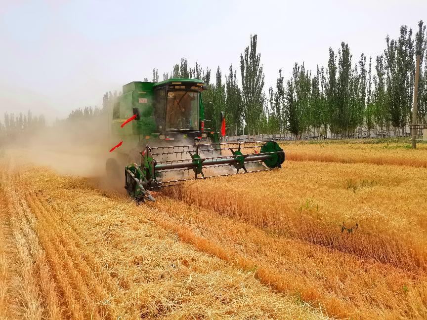 微信图片_20220613200932