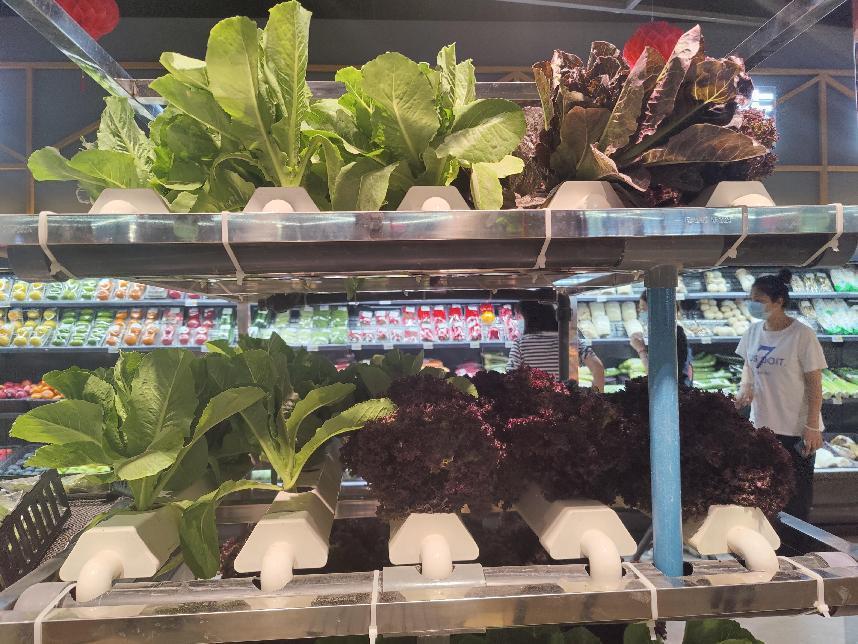 微信图片_20220621175345