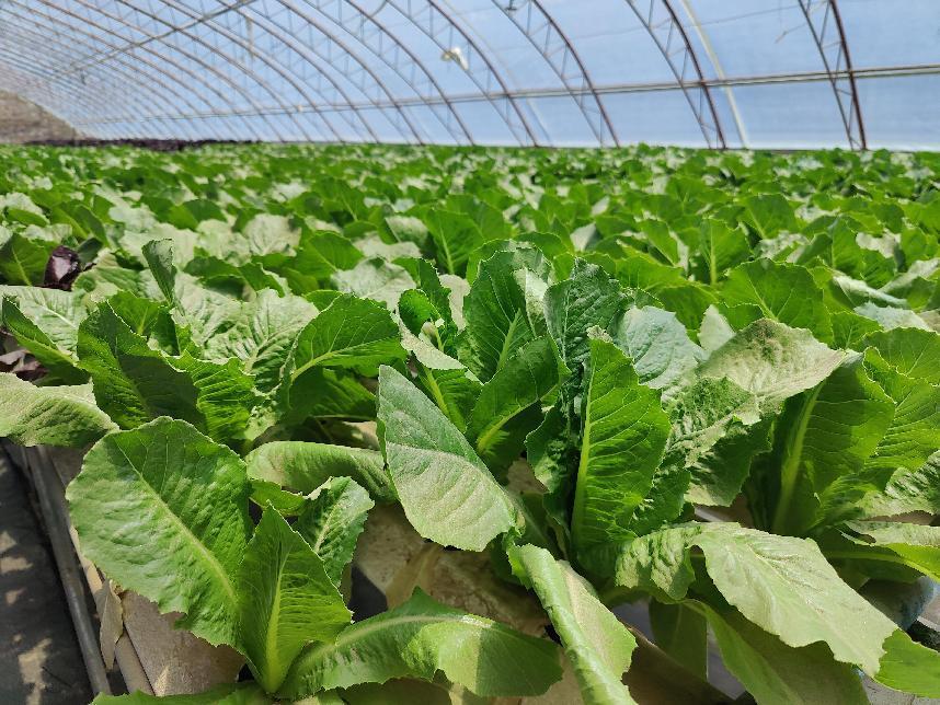 微信图片_20220621175406