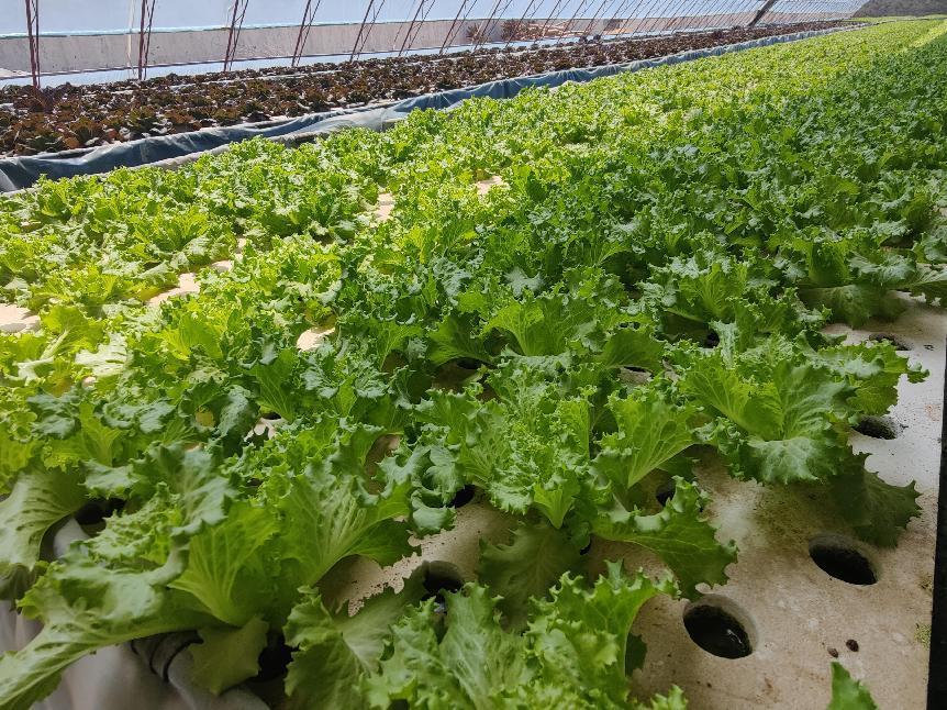 微信图片_20220621175359