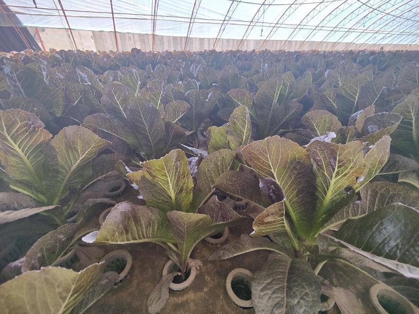 微信图片_20220621175426