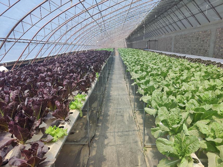 微信图片_20220621175731